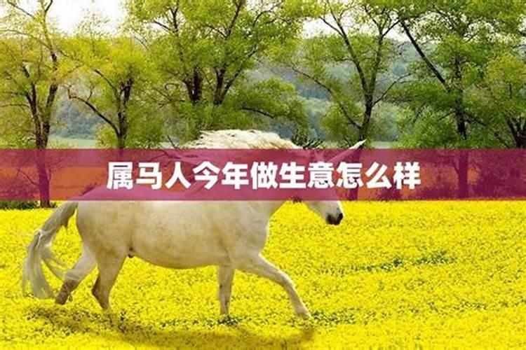 属马人今年做生意运气怎样