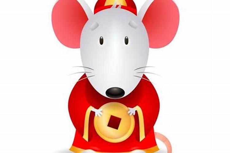 老鼠的克星是什么属相