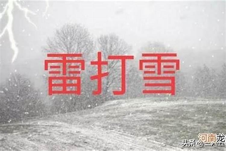 不见下雪不回家的生肖是什么意思