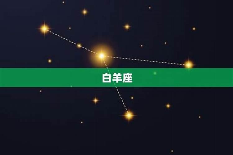 哪个星座的父亲