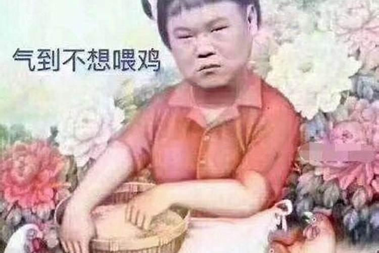 金牛女的人品怎么样