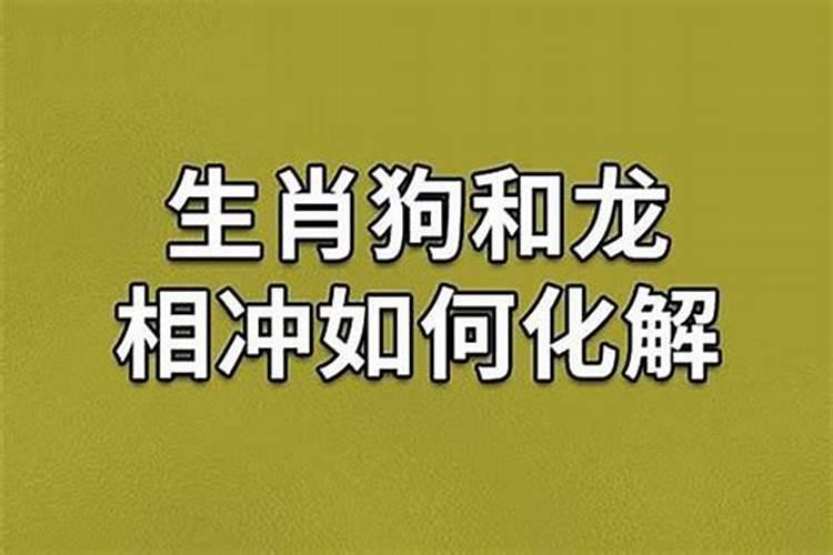 生肖狗生肖龙一定会相害吗