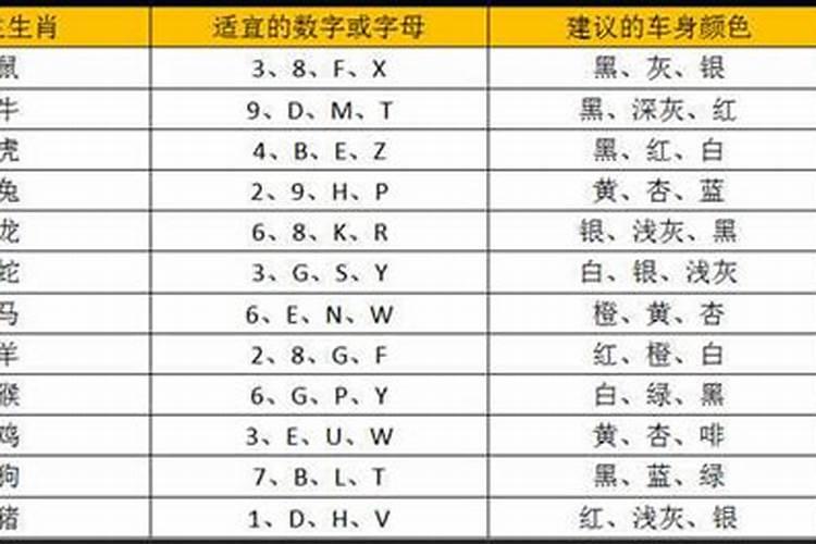 属猪车牌号码吉利尾数