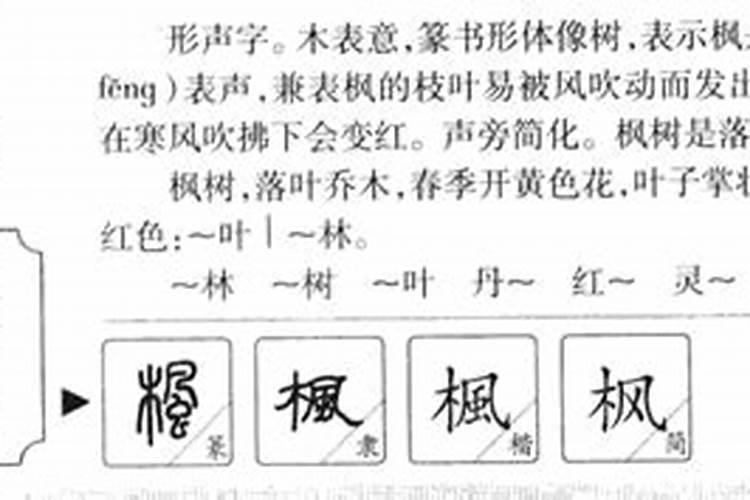 枫字五行属什么属性