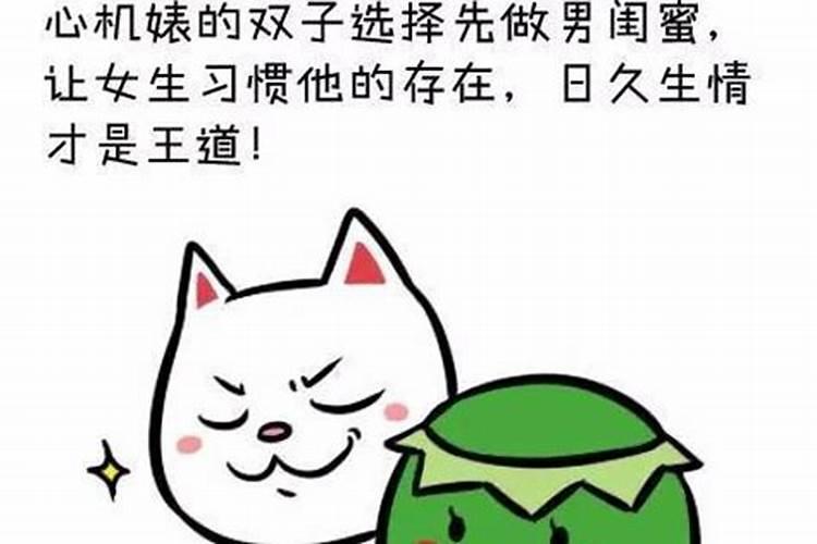 双子座追求一个女生的表现