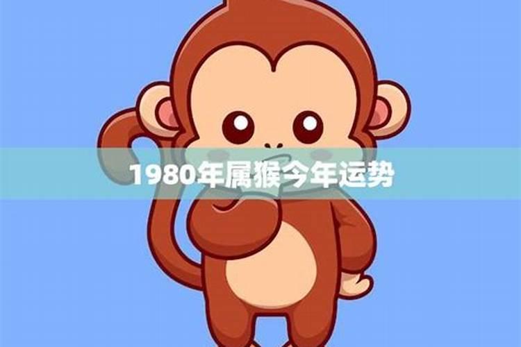 80年属猴的今年运势