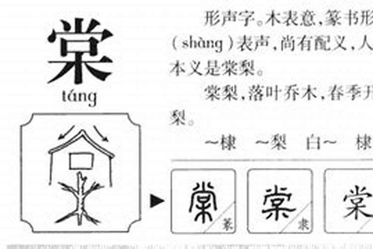 糖字五行属什么