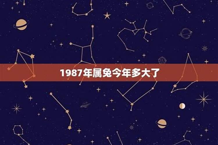 1987出生属兔今年多大了