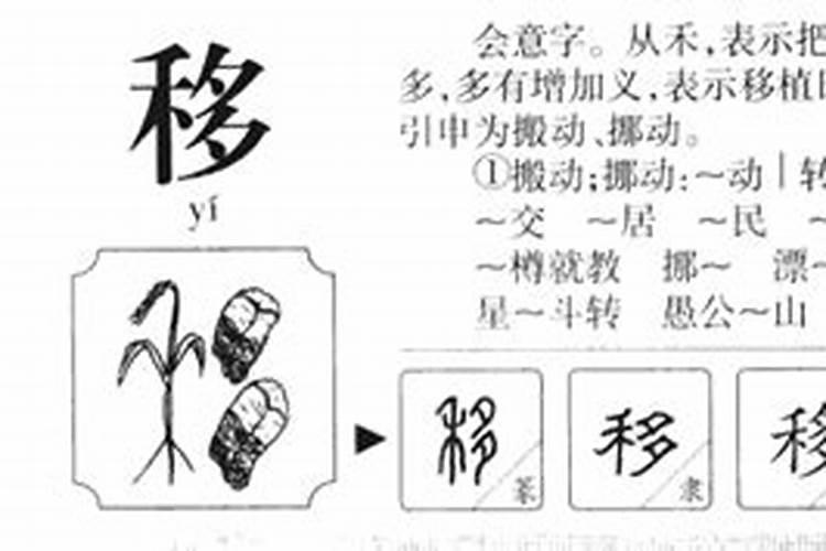 移字五行属什么属性