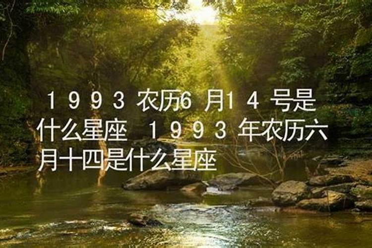 1993年阴历六月二十六什么星座