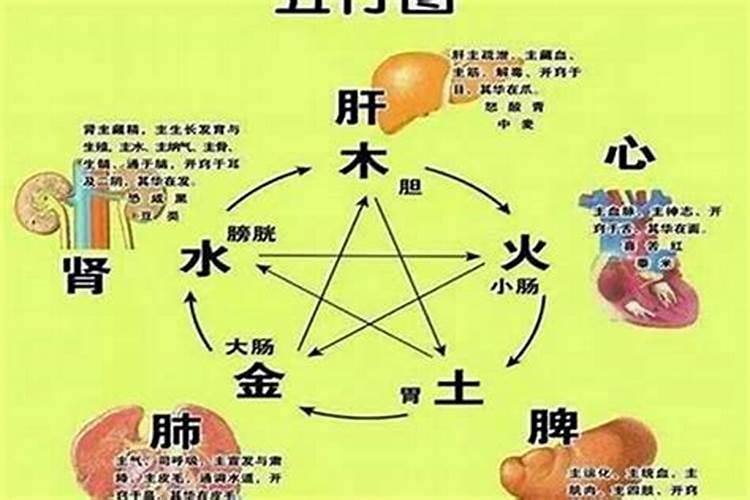 秋分做什么运动好