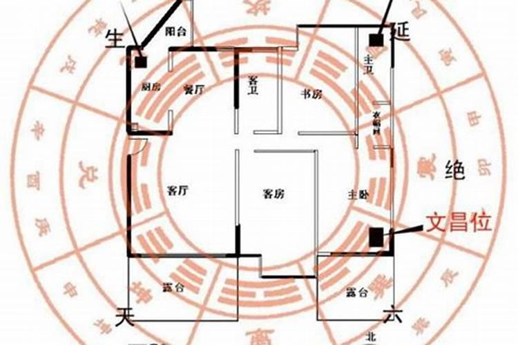 一个八字硬,会不会离婚