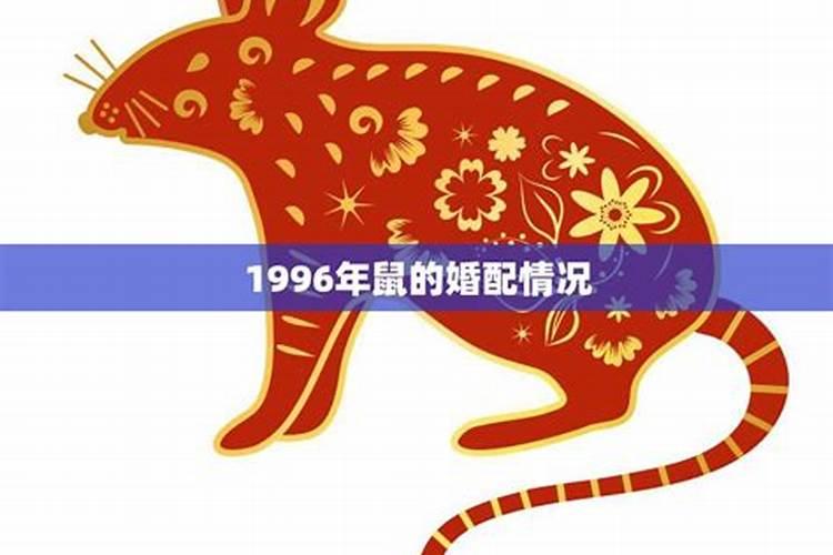 1996年鼠和1996年鼠婚配