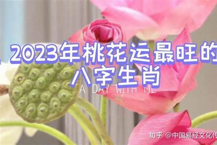 2023年必嫁出去的生肖女