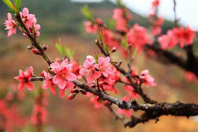 中秋节几点赏月最合适