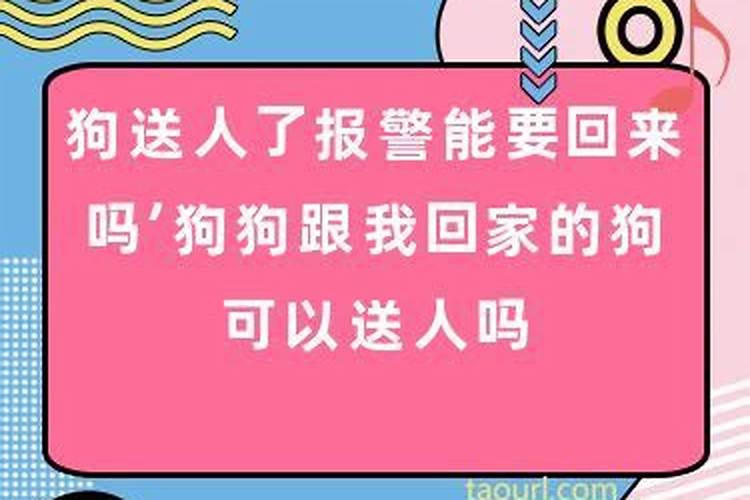 白羊座女生喜欢你会主动联系你吗