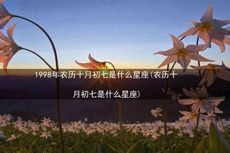 1991月份运势2023年运势