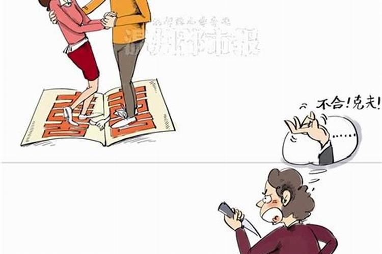 女狗男兔合婚吗