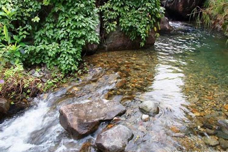 梦到水渠里的水在流动什么意思