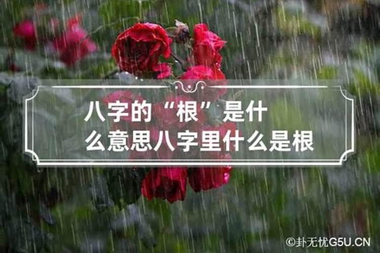 生辰八字什么是根气