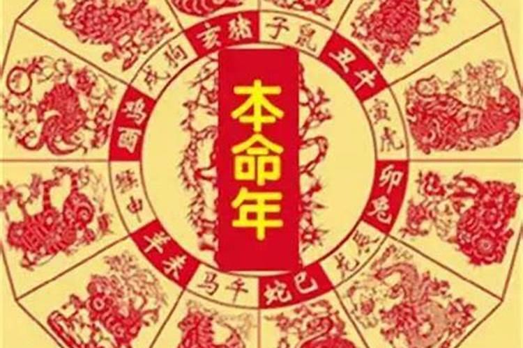 依字在五行里面属什么意思