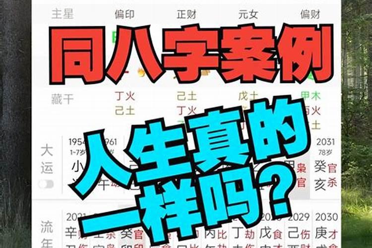 八字相同怎么批命不同