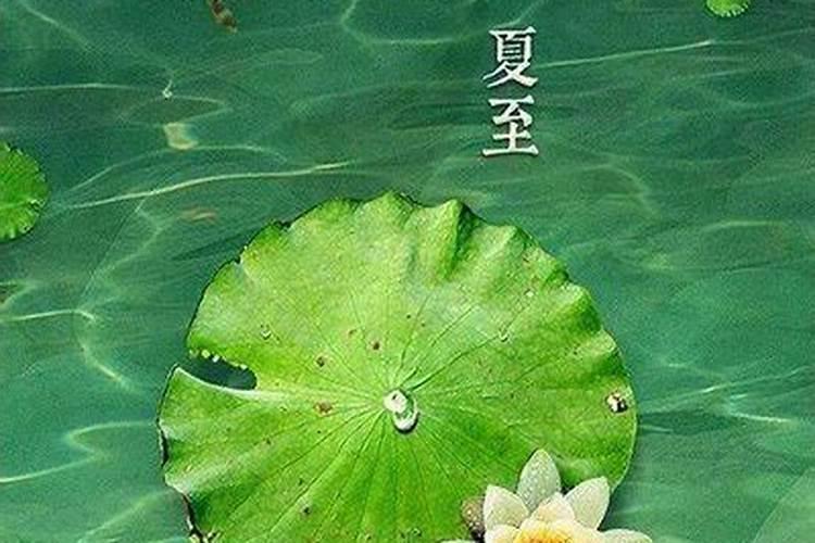 夏至的季节是哪几个月份