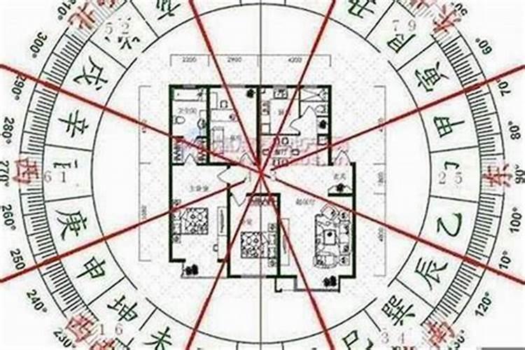 棋艺过人的生肖是什么