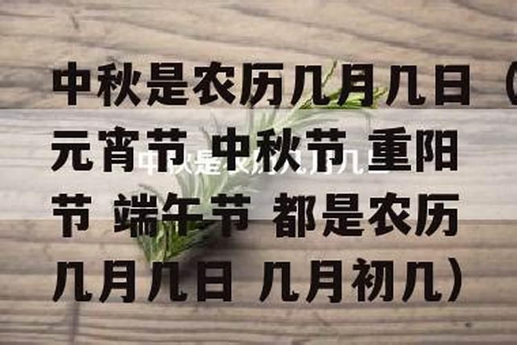 重阳节几月几日农历啊