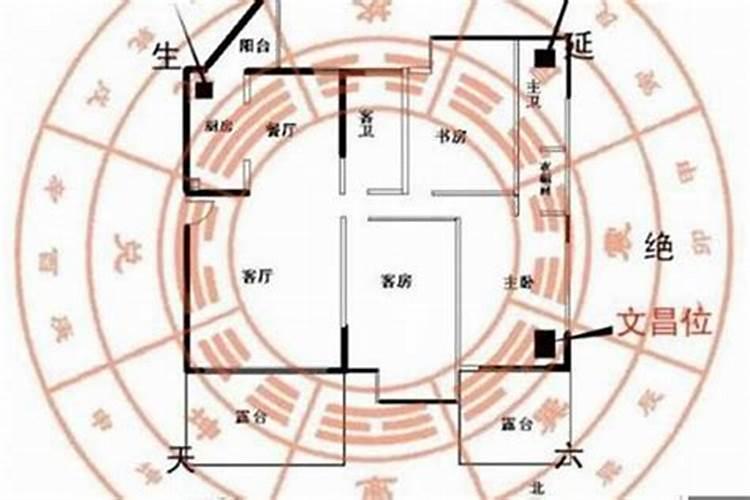 七二年属鼠今年运势怎么样