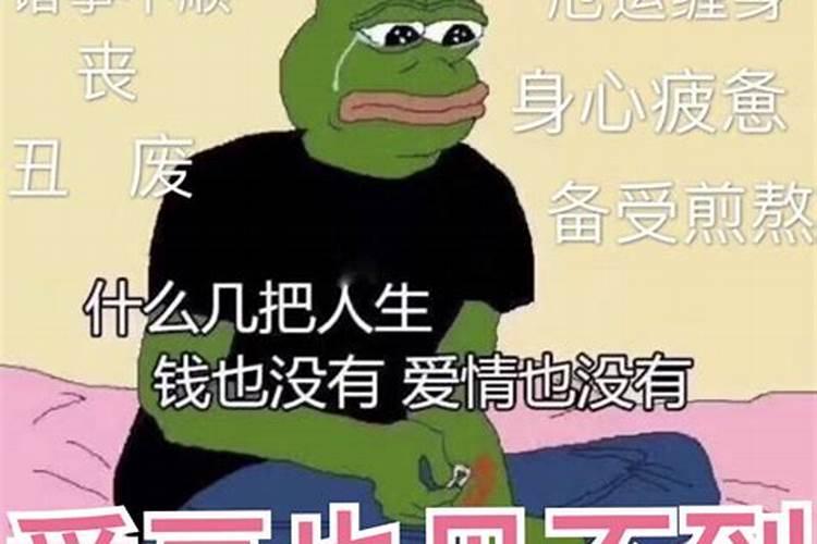 属兔的几个情人