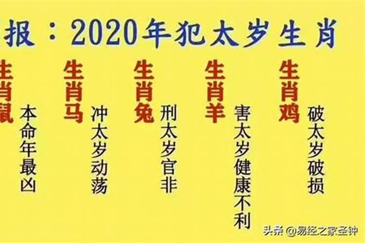 鼠年犯太岁的属相2020