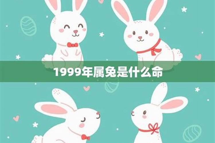 1999年属兔女一生命运怎么样