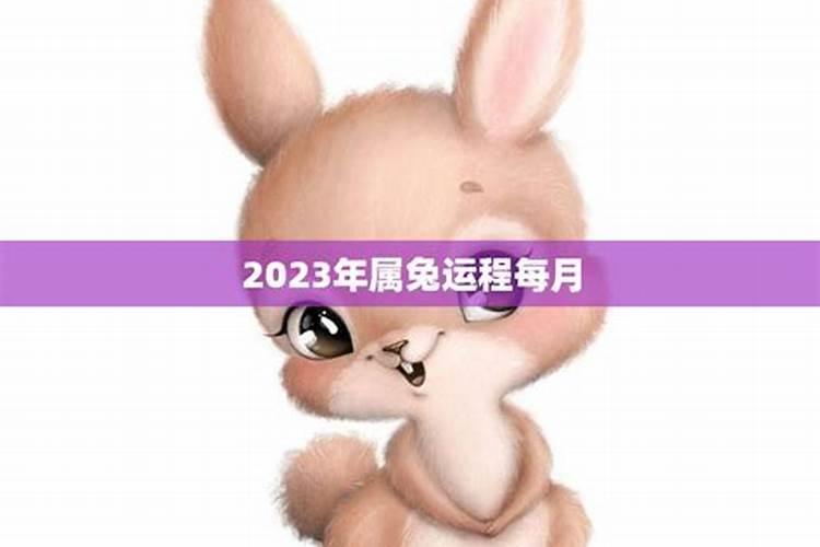 2023年流年大运87年兔