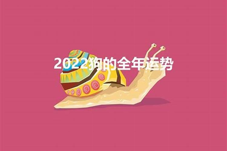 2022年属狗的运势，2022属狗人全年运势如何