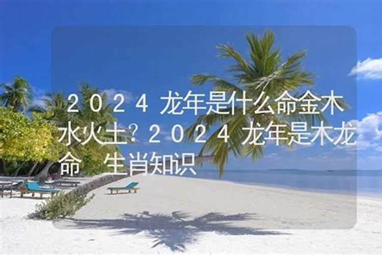 2024属龙是什么命