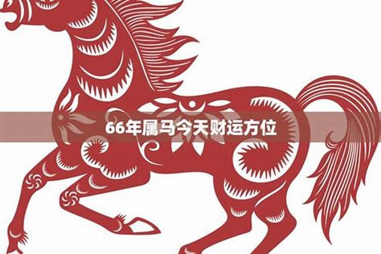 66年属马属于什么命