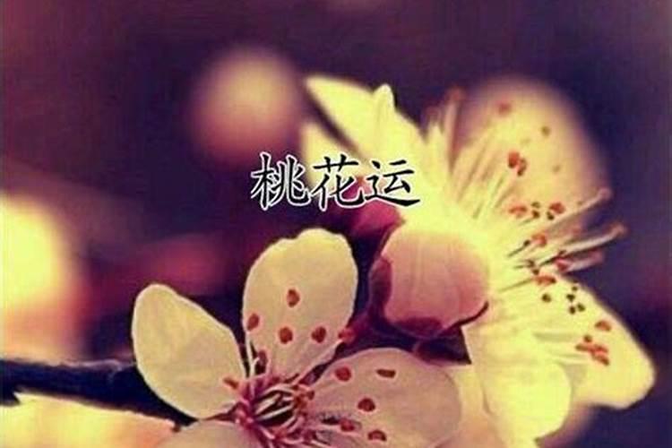 桃花煞怎么破解