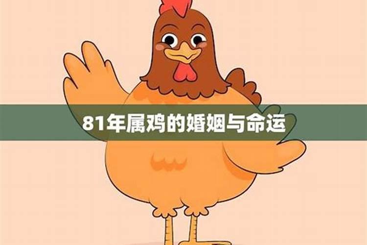 属鸡人的一生命运怎么样呀女生