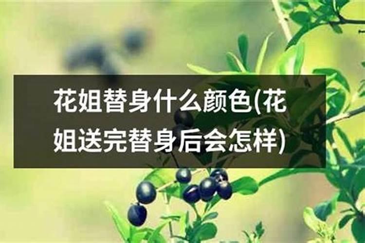 属鸡人家里摆什么招财最好