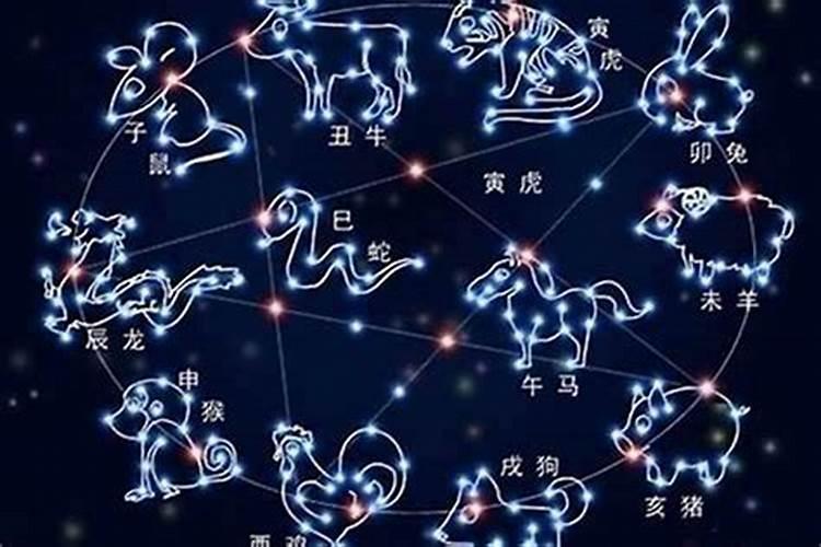 12星座的长相特点