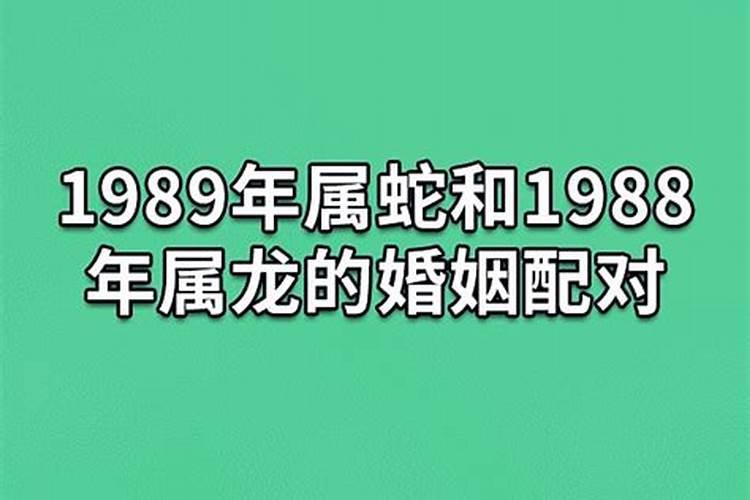 1988年属龙与属蛇合婚吗婚姻如何