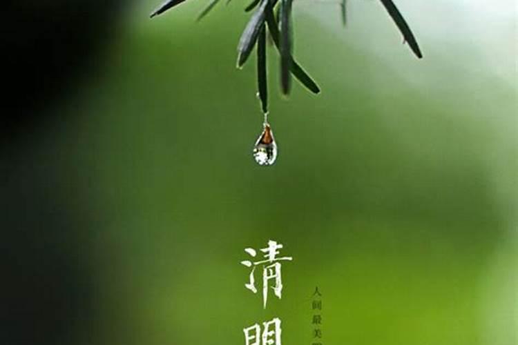 清明节忌点