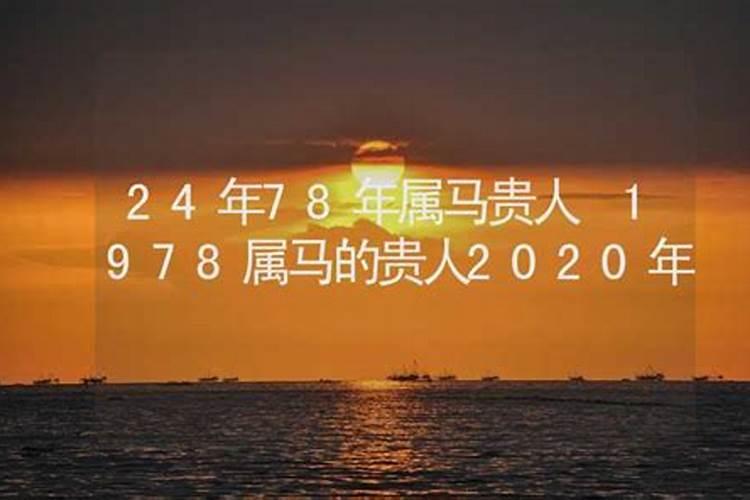 78年马2021年贵人