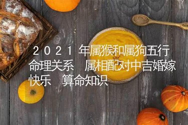 属猴跟属狗婚姻日期2022年结婚