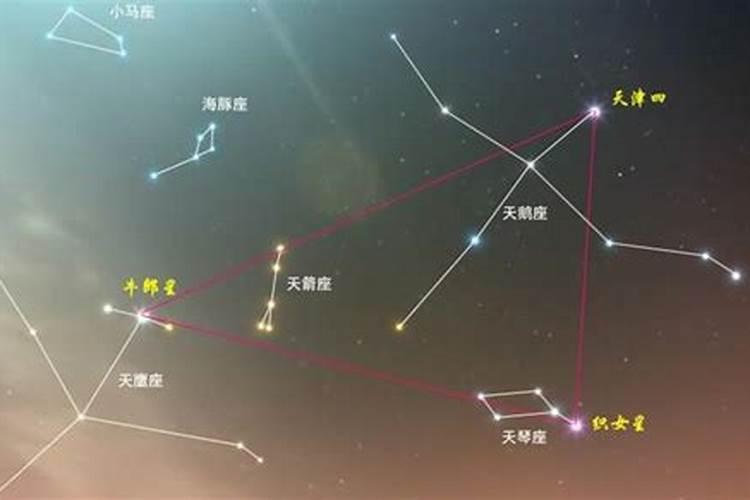 织女星在哪个星座