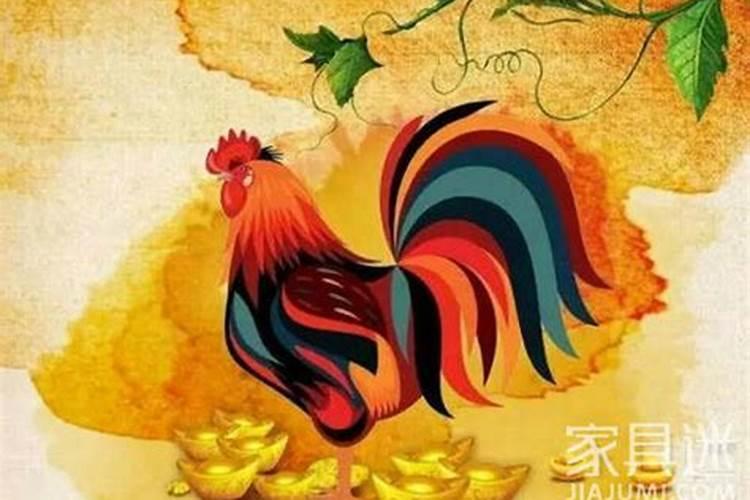 属鸡的孩子今年学习怎么样