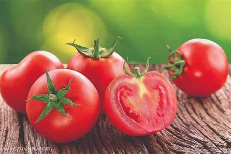 梦到摘西红柿是什么意思周公解梦