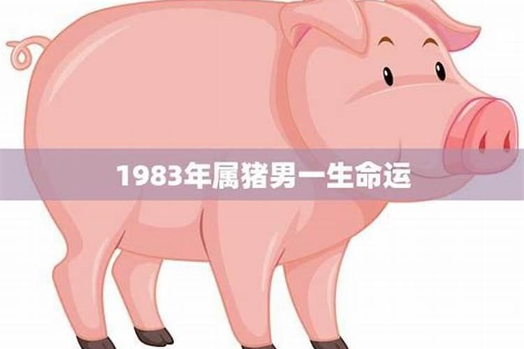 1983年属猪人一生的三大坎