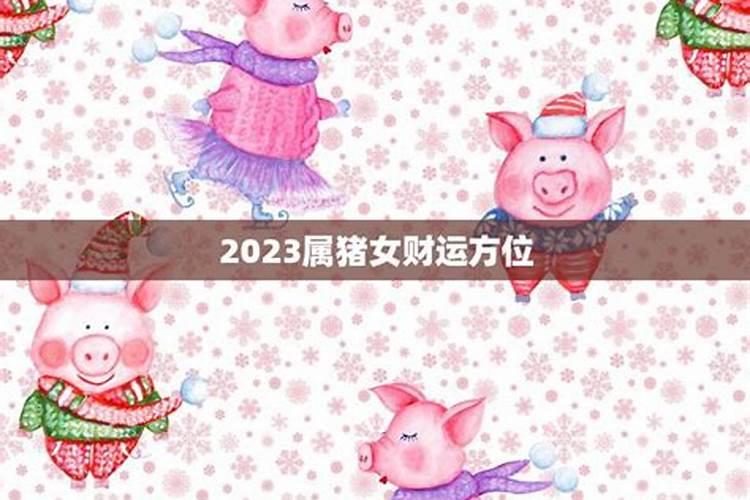 2023年属猪的每月运势及运程详解